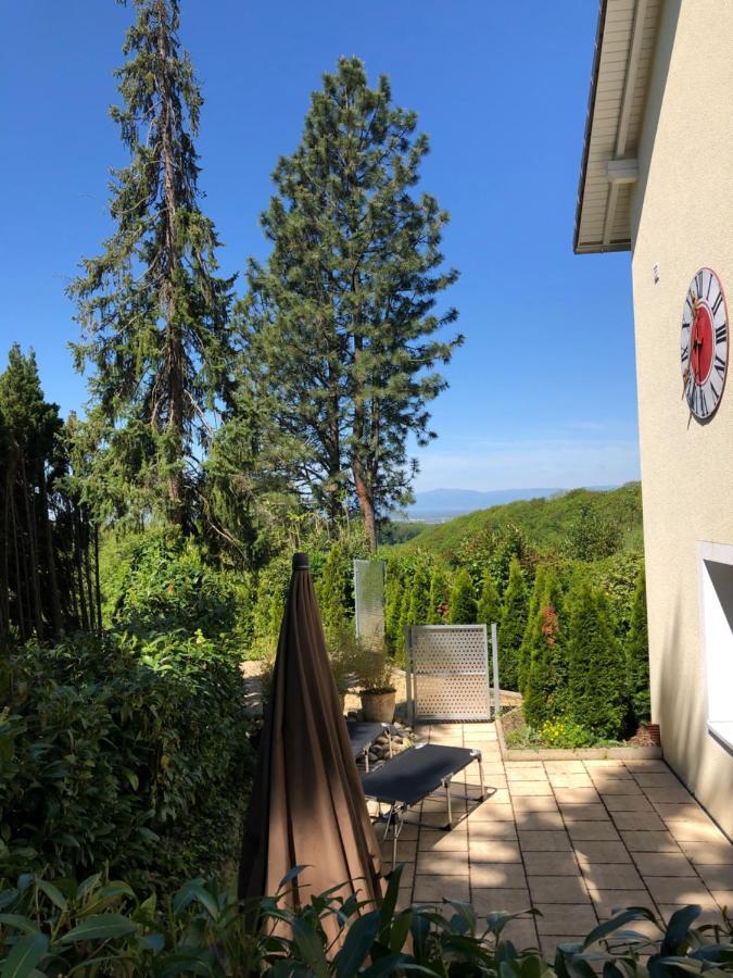 Villa Adagio Баденвайлер Екстер'єр фото